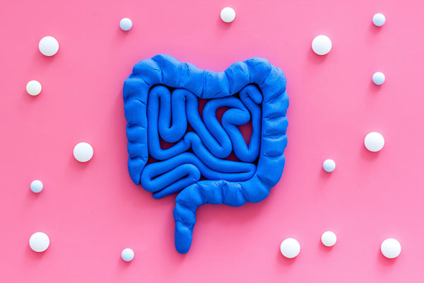 Probiotics for Menopause