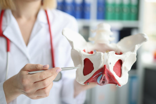 Pelvic Floor Physical Therapy: The Underrated Key to Midlife Sexual Health