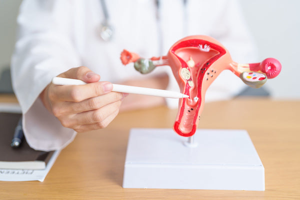 Uterine Fibroids After Menopause