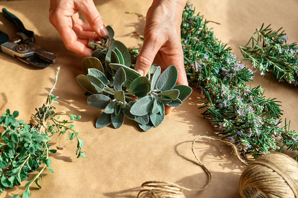 Can Sage Help with Menopause Symptoms?