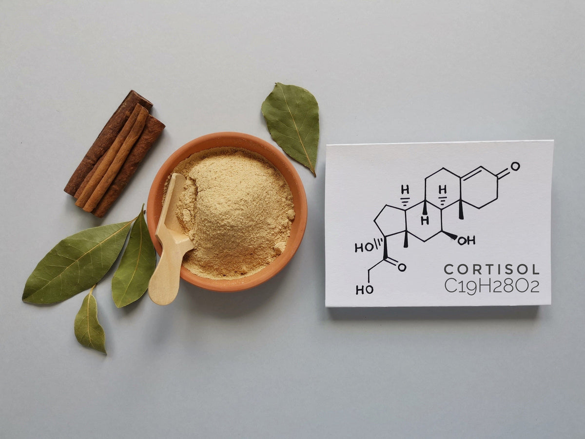 High Cortisol Levels in Women During Menopause