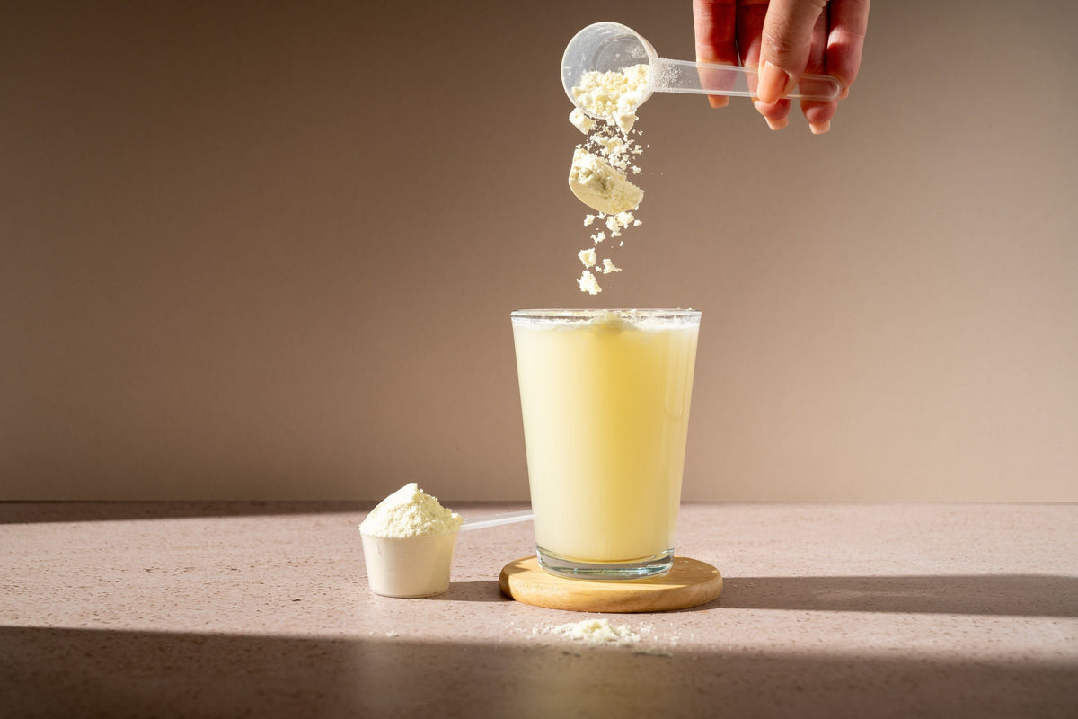 Creatine 101: What Women Should Know About Creatine During Menopause