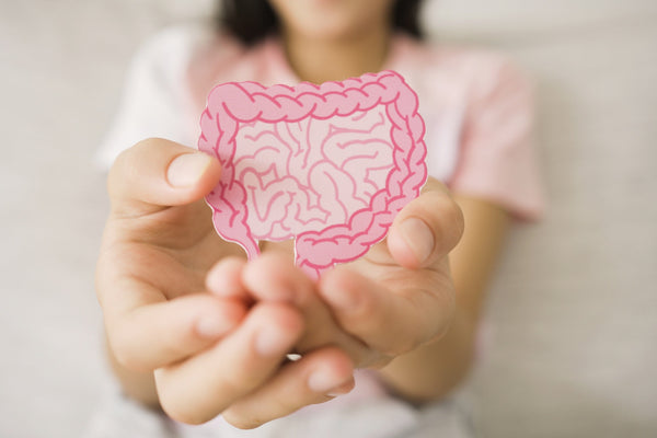 The Gut–Sleep Connection: How Digestive Health Affects Your Nights in Perimenopause